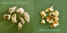  Benzoe Siam